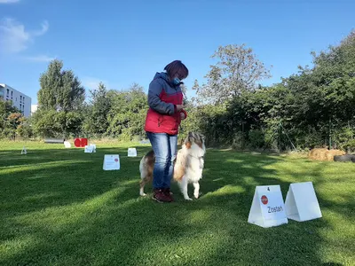 Trener szkolenia psów / Hundeschule Karolina Sarnicka